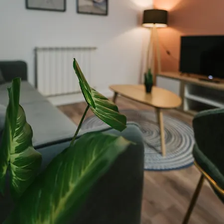 Conde Barrio Humedo *