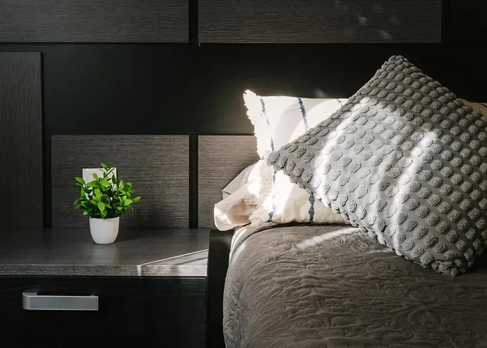 Conde Barrio Humedo León