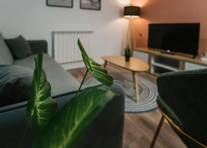 Conde Barrio Humedo *